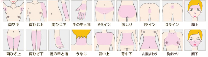 各部位